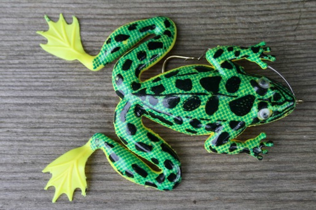 Gummifrosch Nachahmung