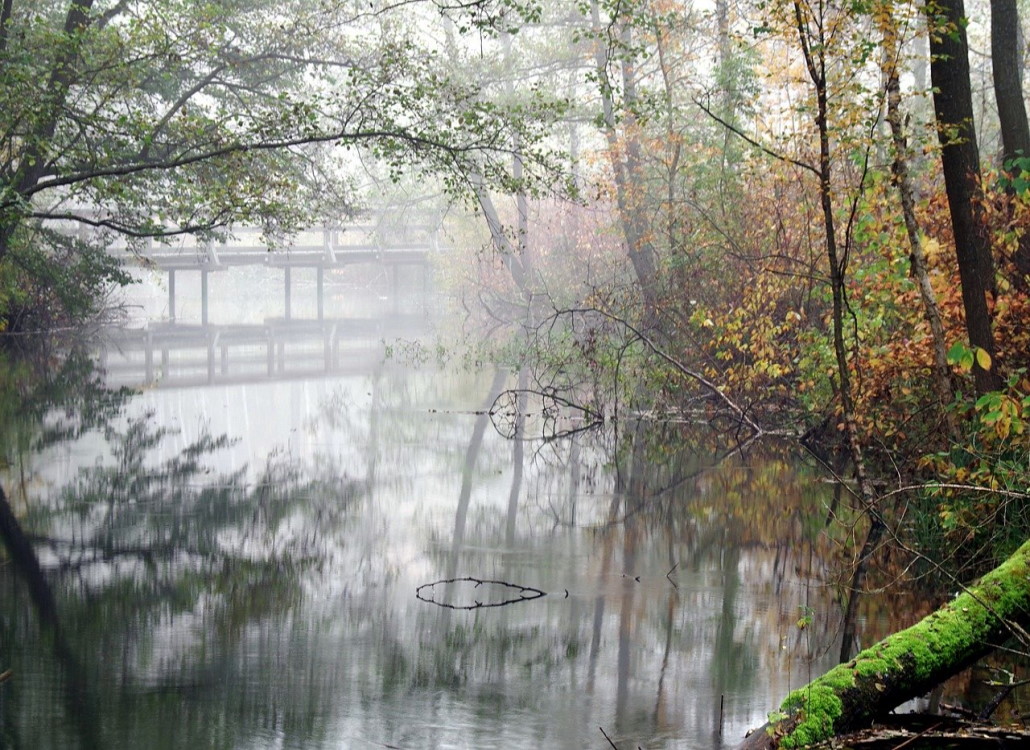 hecht_angeln_im_herbst