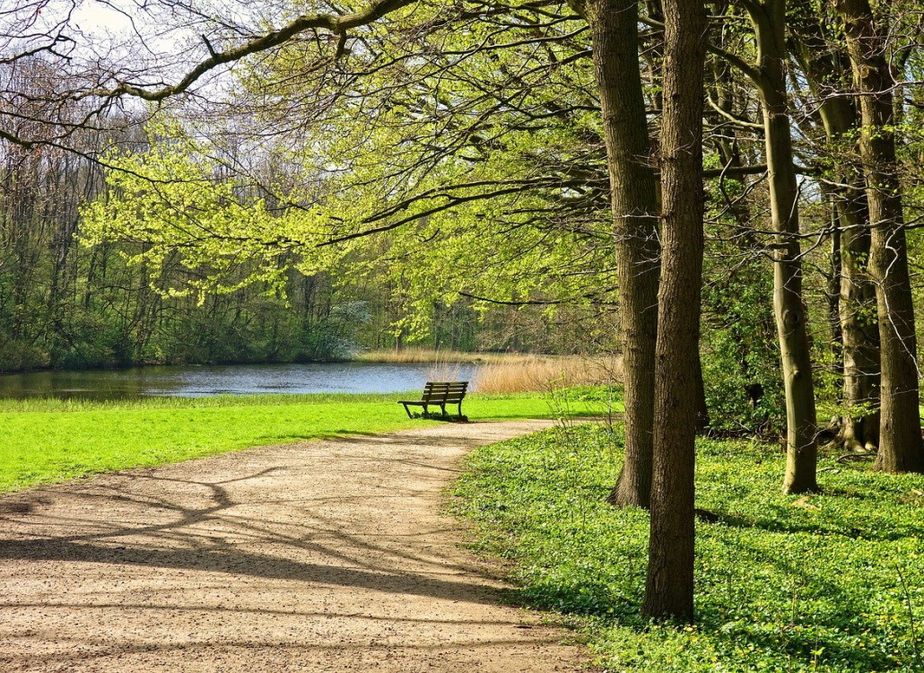 hechtangeln_im_fruehling