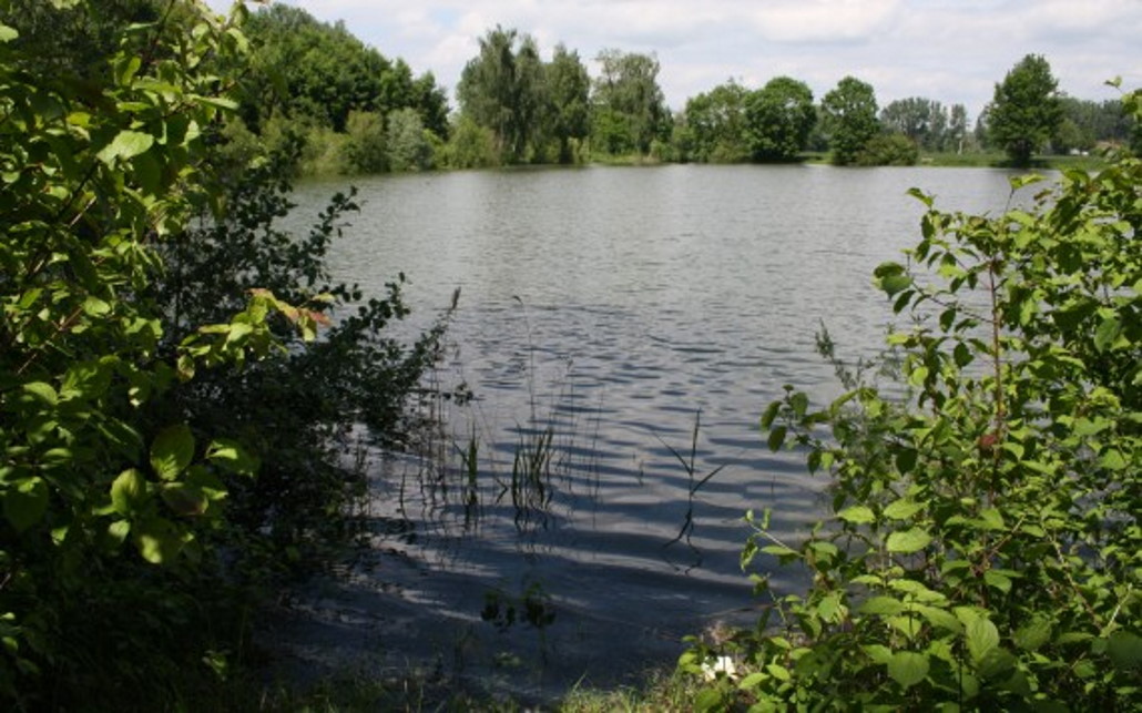 hechtangeln_vom_ufer