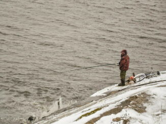 spinnfischen_blinker_winter