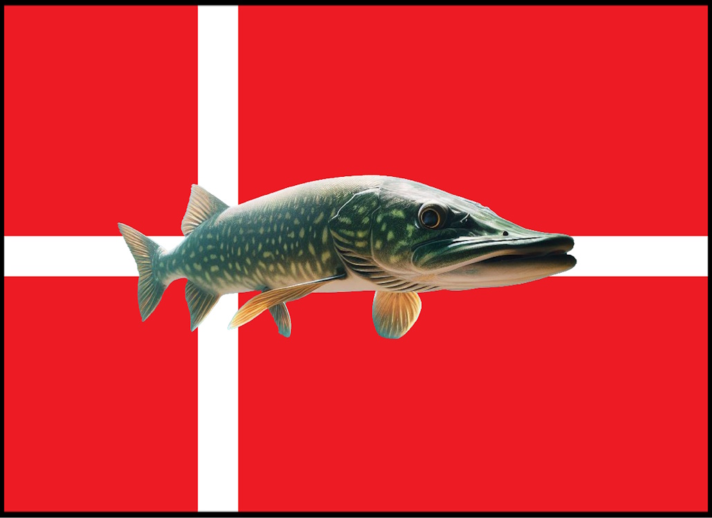 hechtangeln_daenemark_thumb